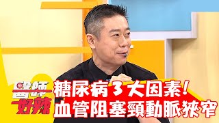 糖尿病3大因素！視力模糊血管阻塞導致「頸動脈狹窄」？！【#醫師好辣】20221206 part2 EP1461 陳榮堅 陳安儀