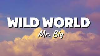 Download lagu WILD WORLD LYRICS - MR. BIG ( LIRIK LAGU ) mp3