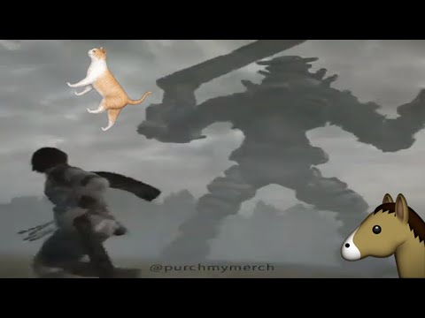 Cat video 𝖔𝖋 𝖙𝖍𝖊 𝕮𝖔𝖑𝖔𝖘𝖘𝖚𝖘 | ♛purchmymerch♛ 🅼🅴🅼🅴