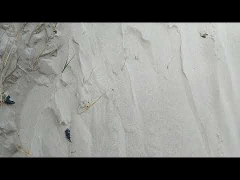 Erosion am Beispiel von Sand, Dünen