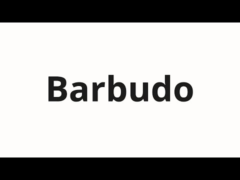 How to pronounce Barbudo