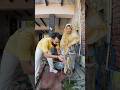 Ghar Mei Aaya New Family Member Neetubisht Minivlog Trendingonshorts Trending Village