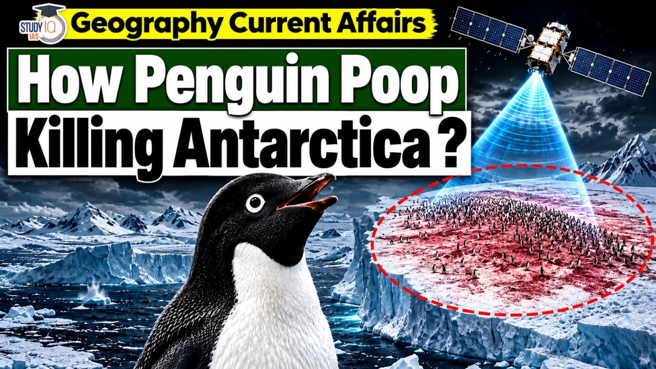 How Penguin Poop Melts Antarctic Snow | Antarctica Secrets Explained
