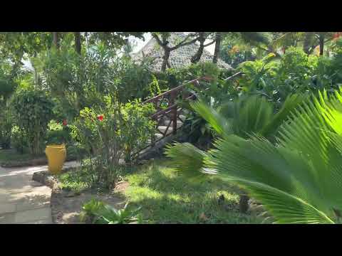 Zanzibar 2025 Dongwe Club Vacanze - co warto wiedzieć…. #rafotravel773