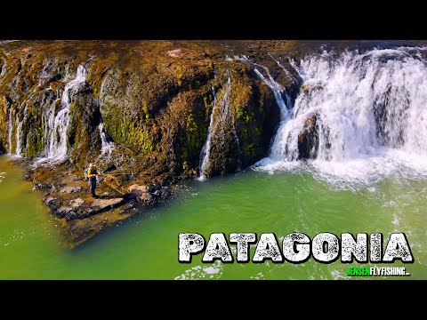 Patagonia Dry Fly Fishing to GULLIBLE Brown Trout - Beetles & Brown Trout