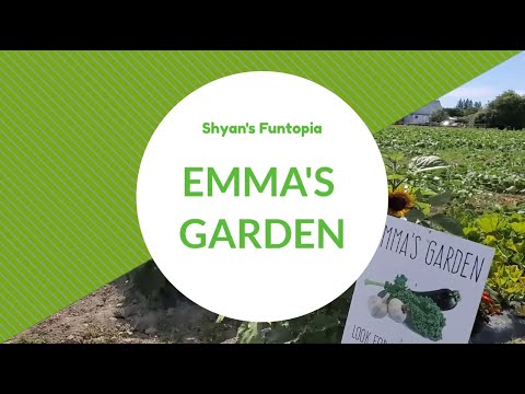 Berry Picking at Emma Lea Farms