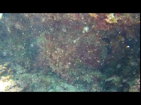 2020 0624 135746 020A