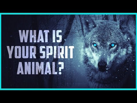 what is your SPIRIT animal? - Personality Test