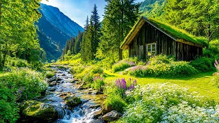 Beautiful Relaxing Music for the Heart and Blood Vessels 🌳