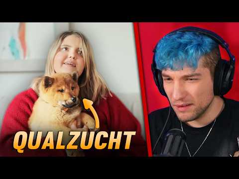 Sie verheimlicht ihren Fans wo sie ihren Hund gekauft hat | Rezo reagiert