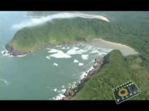 Imagem de Amostra do You Tube