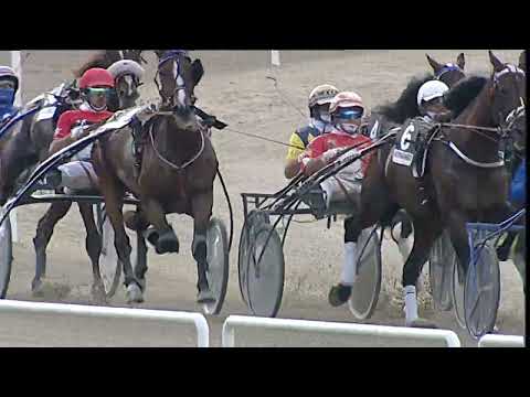 Napoli Trotto 01/06/2023 - 7ª corsa