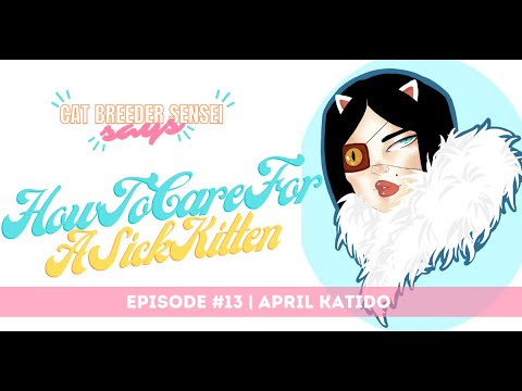 Episode 13  | Full episode | How to Treat your Kittens when they have a Virus