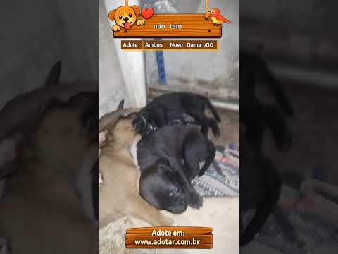 Vídeo de não tem 