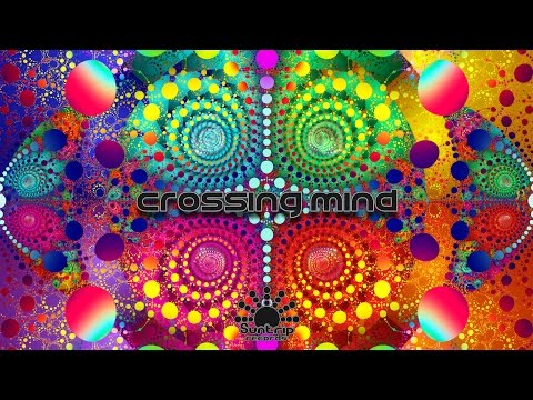 Crossing Mind - Live at 10 Years Suntrip Records by Fractal Gate - April 30th 2014