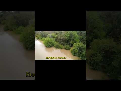 Rio Negro da Cidade de Rio Negro Parana, muito cheio fora da caixa 😬🚨