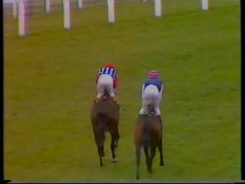 1984 King Stand Stakes Habibti
