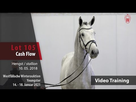 Winterauktion Trainingsvideo Youngster Lot 105 Cash Flow Hengst v. Caspar - Quirado