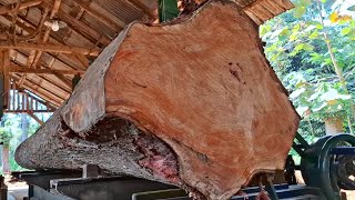 the amazing process of sawing redwood logs into planks at a sawmill