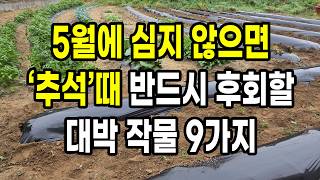 5월에 심지 않으면 추석때 반드시 후회할 대박 작물 9가지