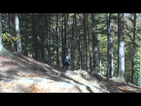 Downhill Biking Poland- Wisla