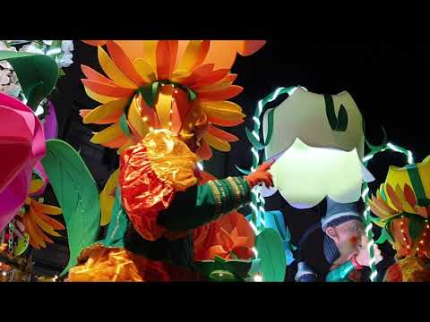 Carnaval Ninove 2020 - MKKV De Moesjkes