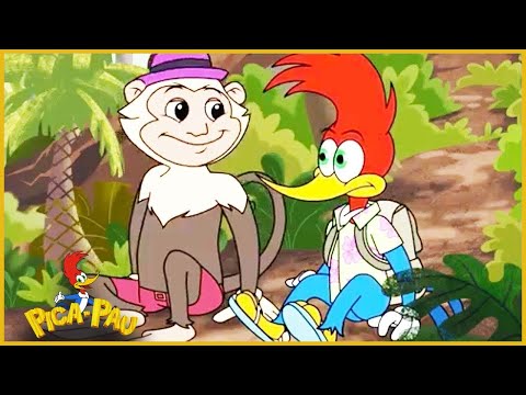 Capa de Pica-Pau - Aventuras no Brasil