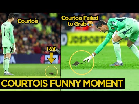 Viral Funny Moment as Courtois Failed to Catch a Rat During Belgium vs Wales Match | Football News