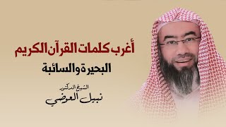 أغرب كلمات القرآن الكريم | البحيرة و السائبة | نبيل العوضي image