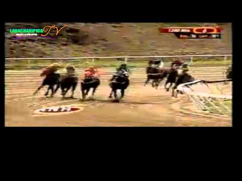 la rinconada 6 carrera domingo 11 d emayo del 2014