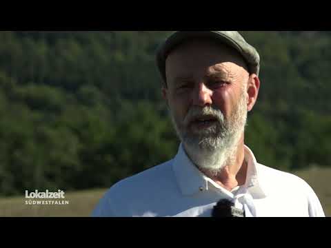 Leinsamen-Ernte im Hochsauerland