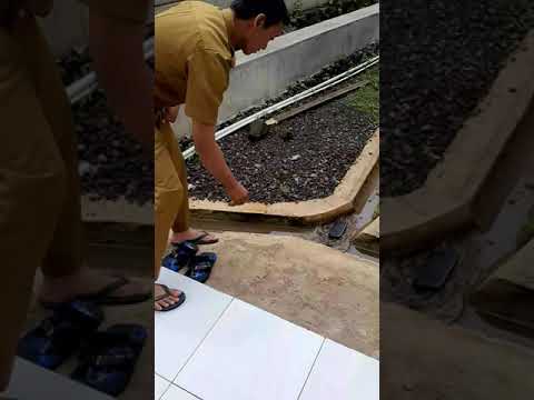 Uji coba ketahanan HP Doogee S40. Dilempar dan direndam air.