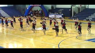 McCollum High School Gold Stars 2011