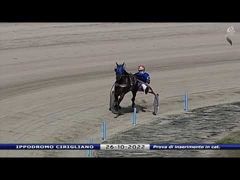 Aversa trotto 26 Ottobre 2022 - Prova di inserimento in categoria