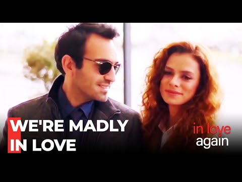 The Beauty That Turns Night Into Day - In Love Again