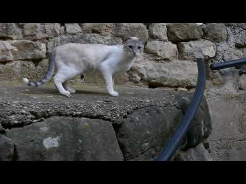 La Fresneda con encanto (Teruel)