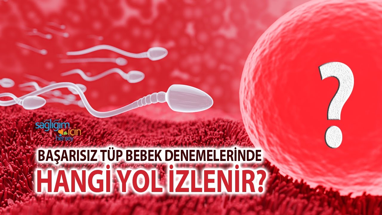 Tüp Bebek Tedavisinde Başarının Sırrı Nerede Gizlidir?