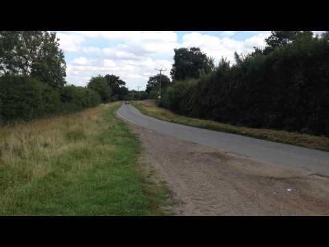 Jaguar Special - Total Headturners