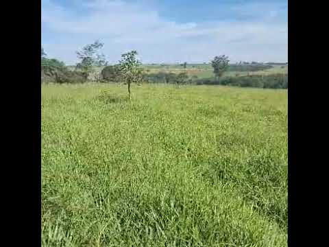 CHÁCARA HÁ 1.5 KM DE BELA VISTA DE GOIÁS.