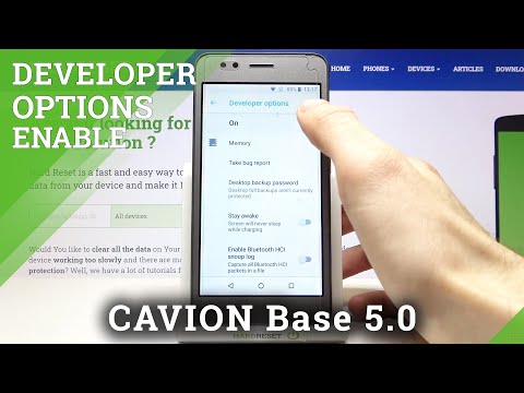 How to Enable Developer Options in CAVION Base 5.0 – Show Advanced Developer Settings