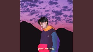 sorry not sorry Music Video