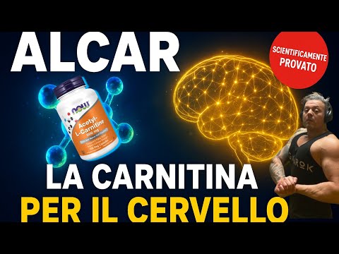 Brain Fog at 40? ALCAR Solved My Problem (Complete Protocol)