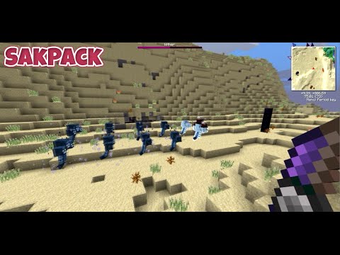 EPIC Modded Minecraft: 10 WITHERS Battle!