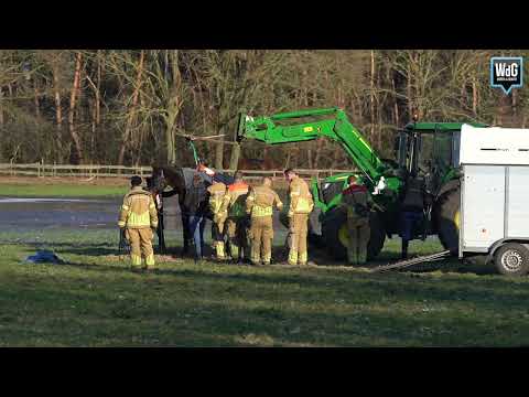 Brandweer bevrijd drachtige merrie op Schaapsdijk Weert