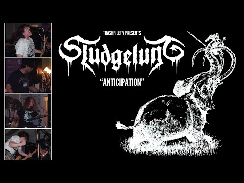 Anticipation: The Sludgelung Summer Tour