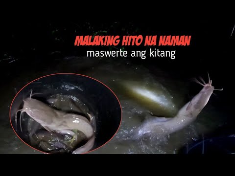 EP223.p2: PAGKUHA NG KAWAYAN AT PAG AAYOS NG KUGON