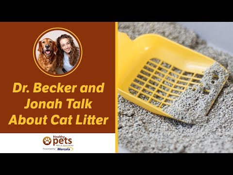Dr. Becker and Jonah Talk About Cat Litter