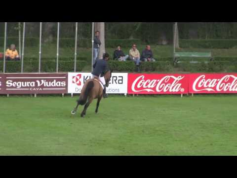 Exquis Walnut De Muze - CSI5* Madrid