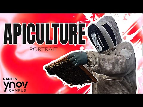 THOMAS – Apiculteur Amateur (Portrait)