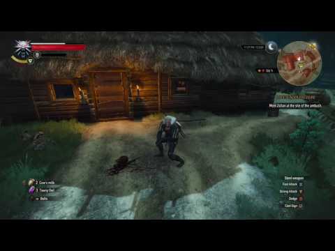 What Geralt Does In His Spare Time - (The Witcher 3)